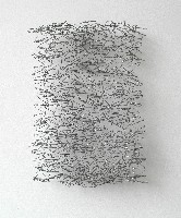 Hans Houwing, z.t. 34 x 24 x 4 cm. chicken wire
PHŒBUS•Rotterdam